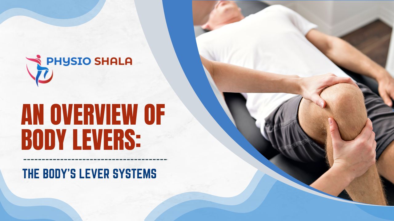 An Overview of Body Levers: The Body's Lever Systems