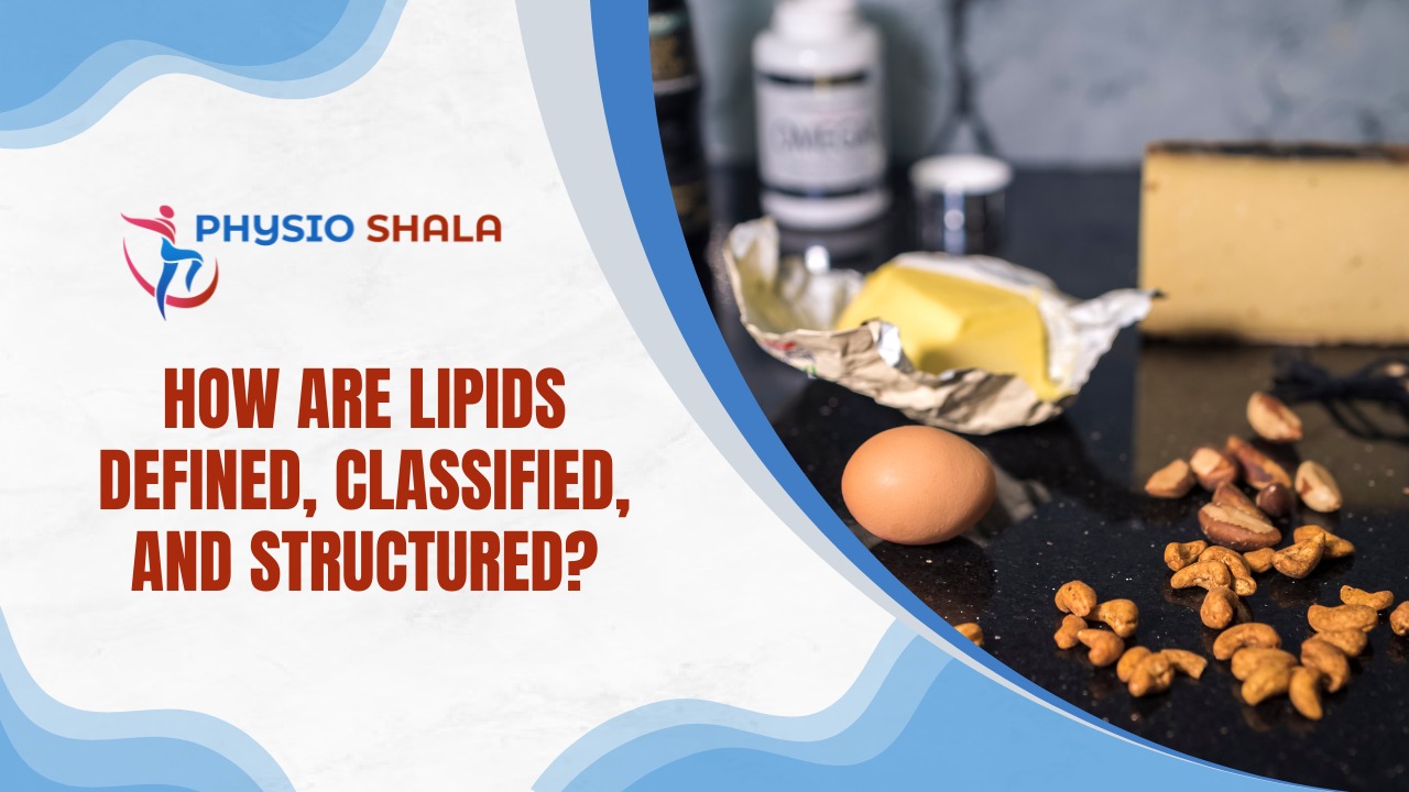 How Are Lipids Defined, Classified, and Structured?