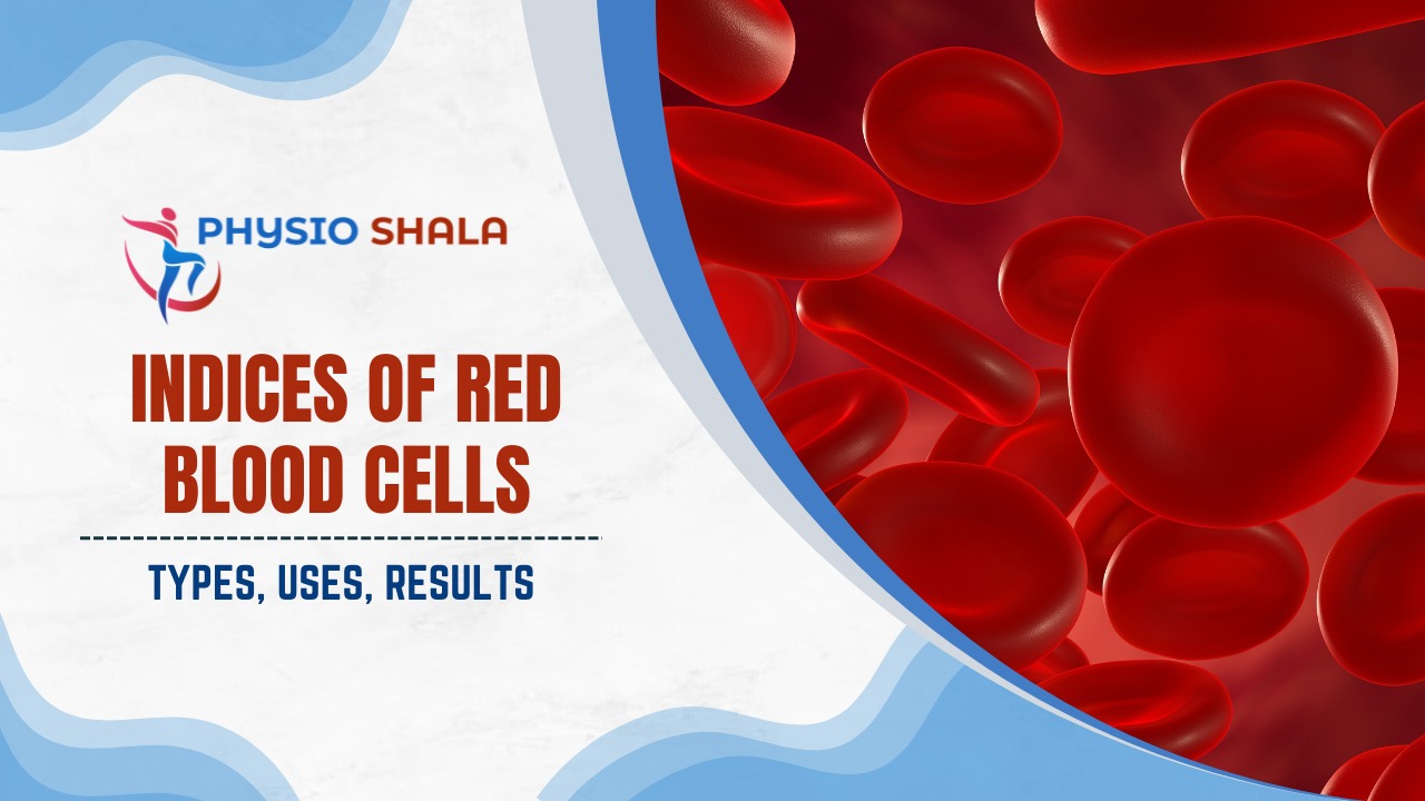 Indices of Red Blood Cells: Types, Uses, Results