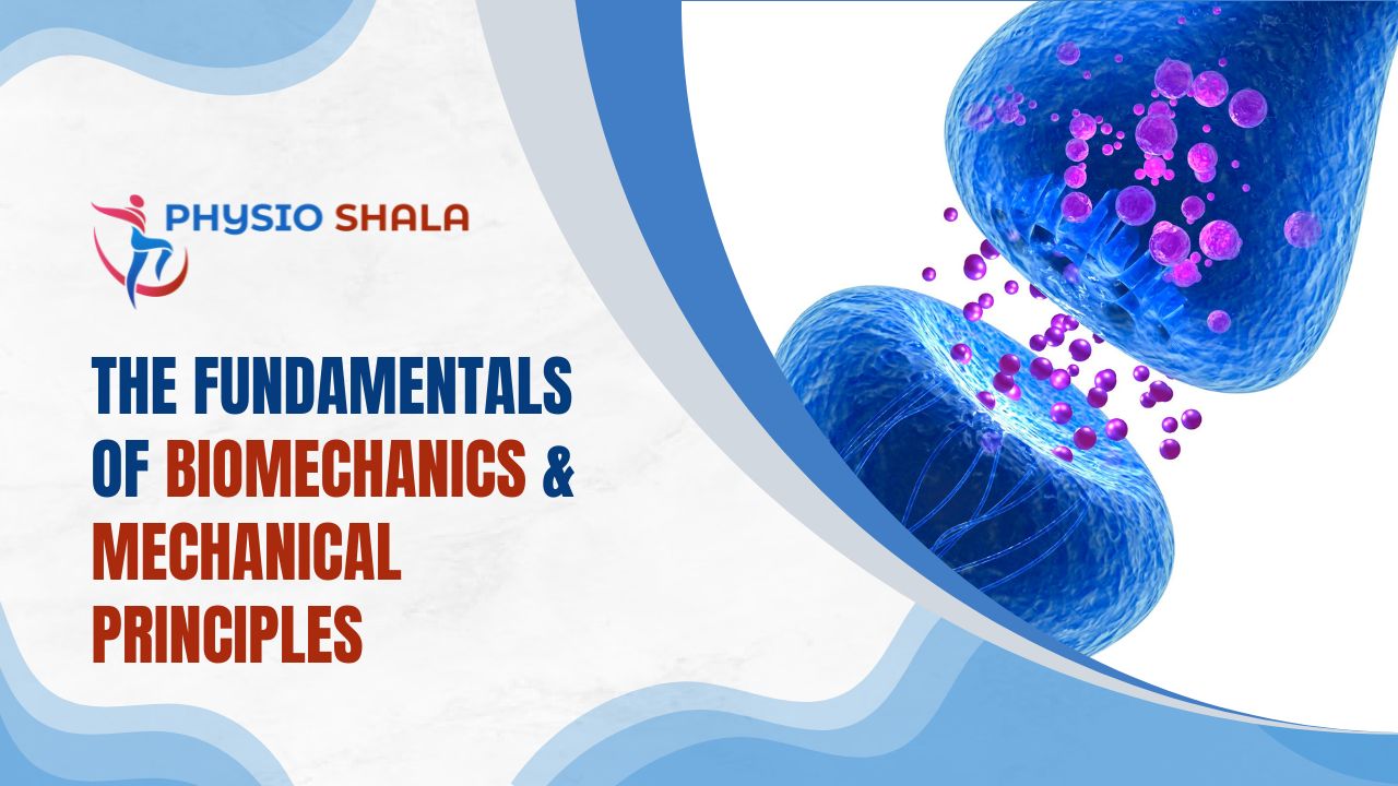 Biomechanics & Mechanical Principles